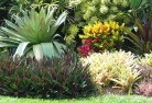 Dampier Peninsulaorganic-gardening-14.jpg; ?>